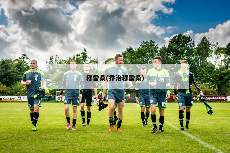 穆雷桑(乔治穆雷桑)
