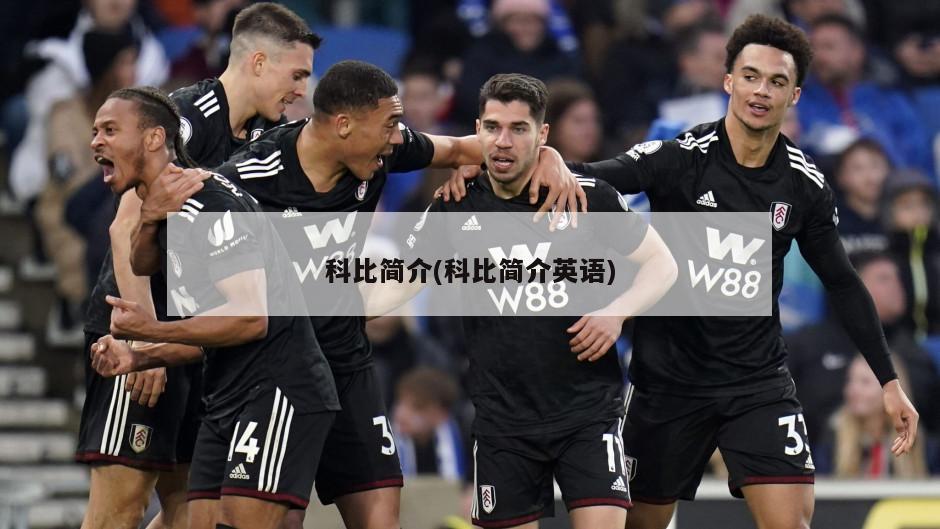 科比简介(科比简介英语)