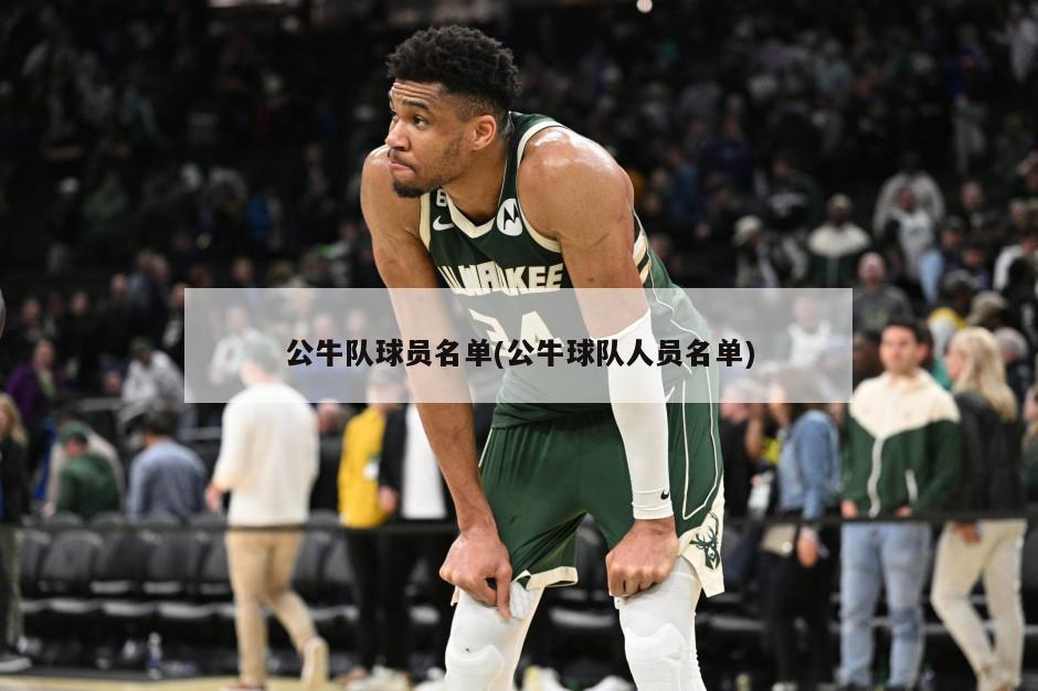 公牛队球员名单(公牛球队人员名单)