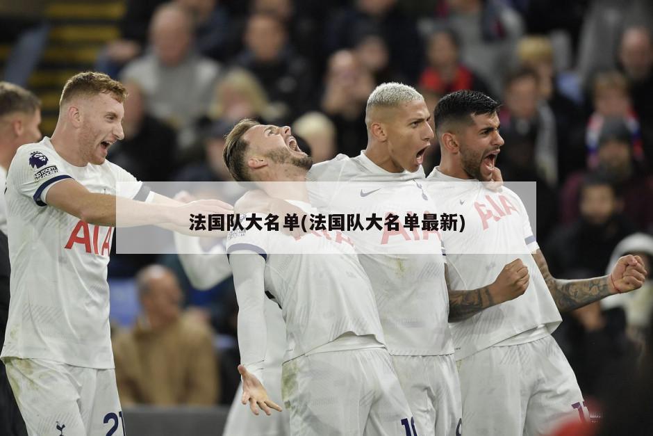 法国队大名单(法国队大名单最新)