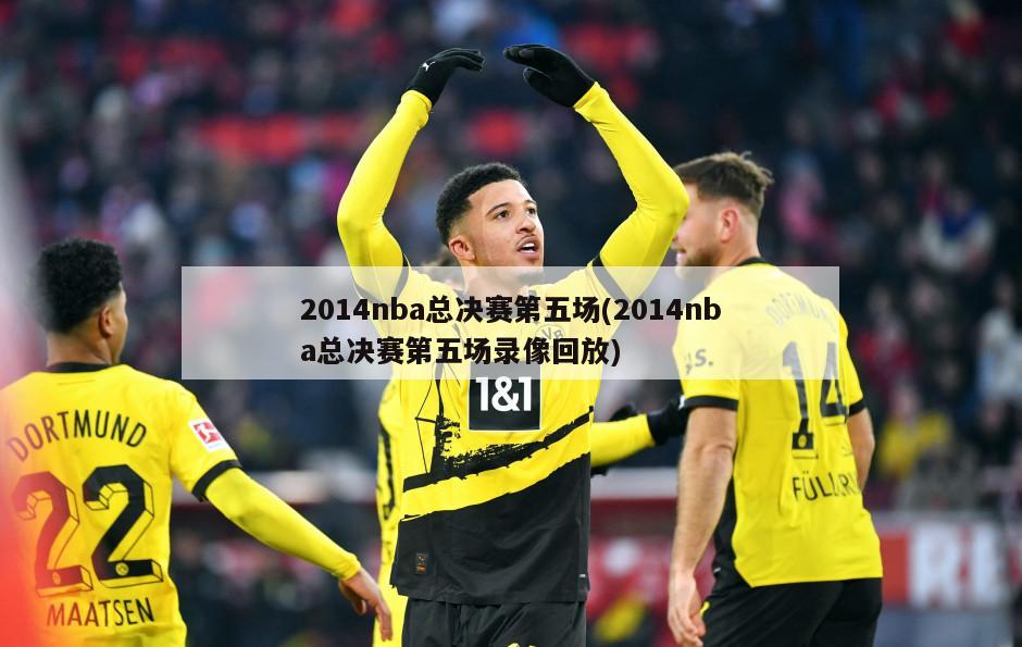 2014nba总决赛第五场(2014nba总决赛第五场录像回放)