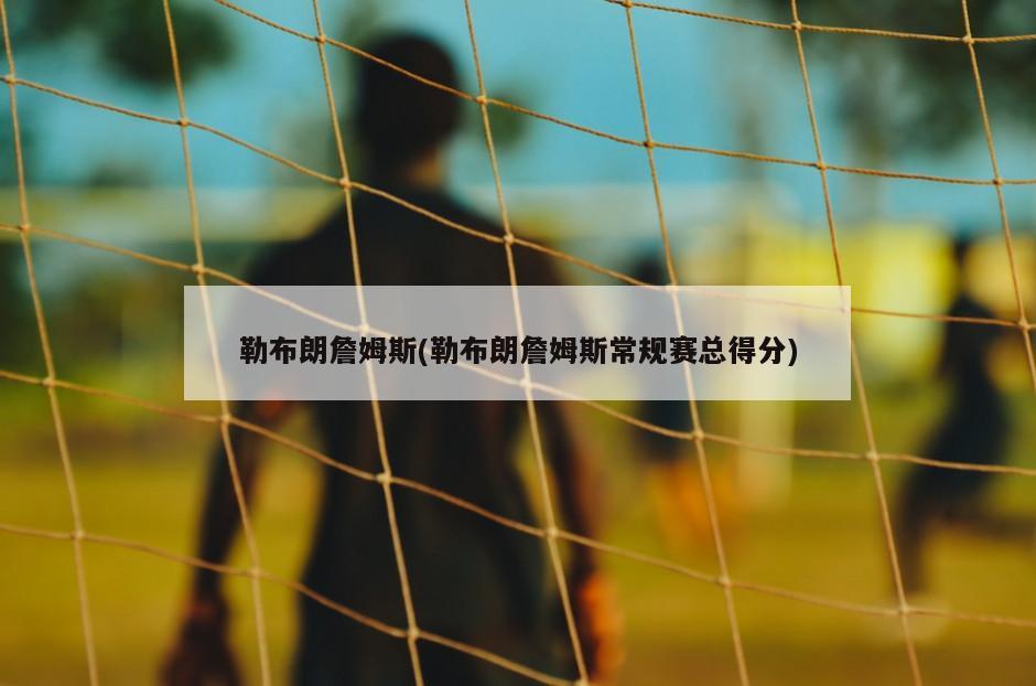 勒布朗詹姆斯(勒布朗詹姆斯常规赛总得分)