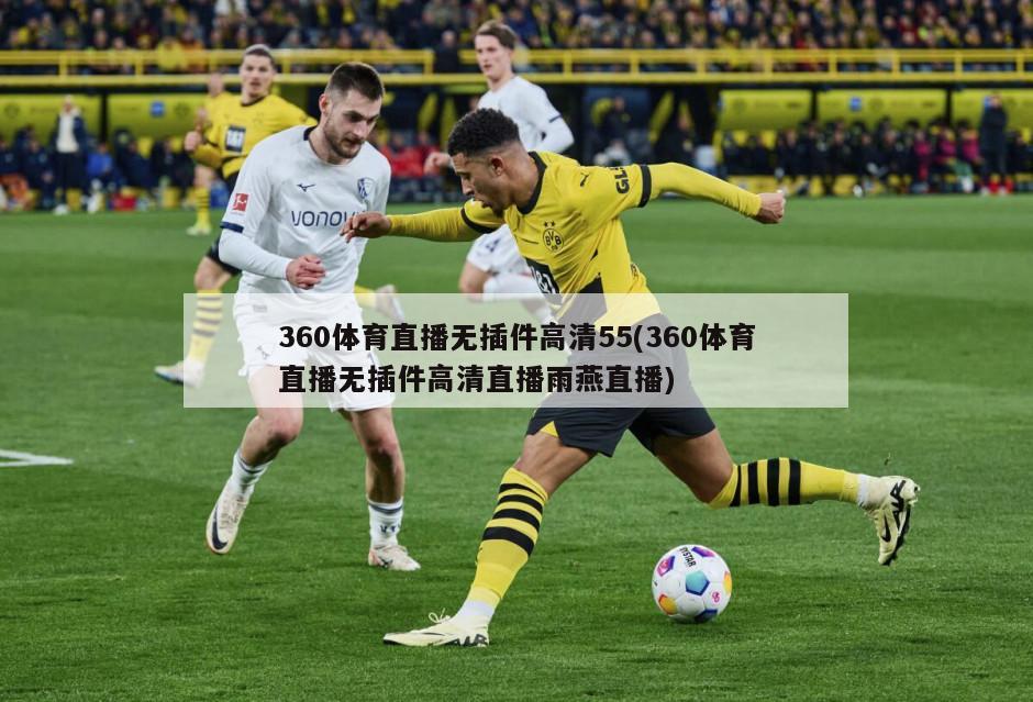 360体育直播无插件高清55(360体育直播无插件高清直播雨燕直播)