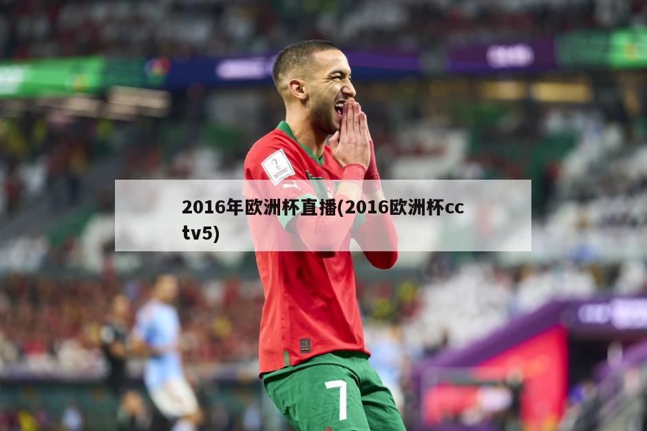 2016年欧洲杯直播(2016欧洲杯cctv5)