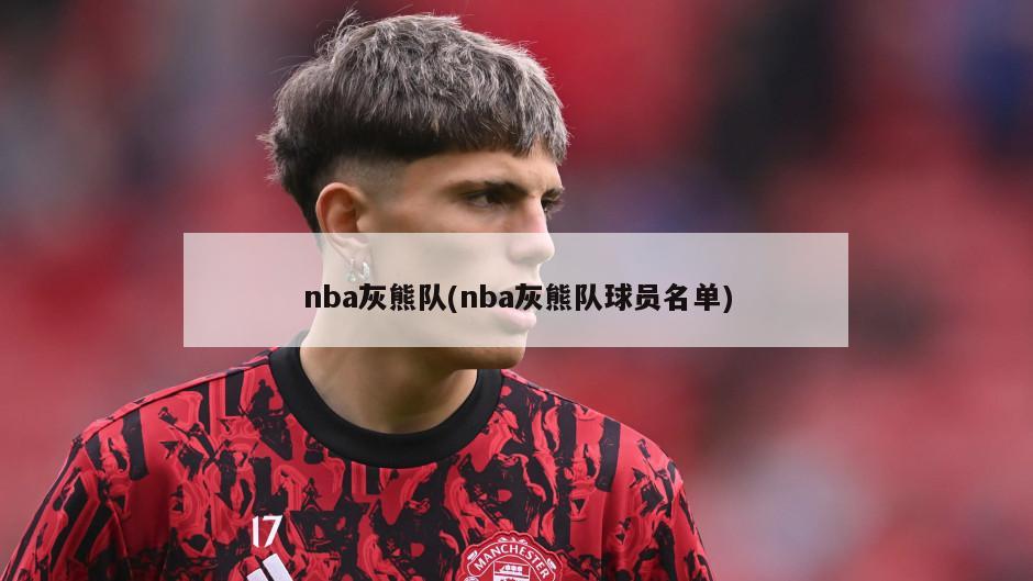 nba灰熊队(nba灰熊队球员名单)
