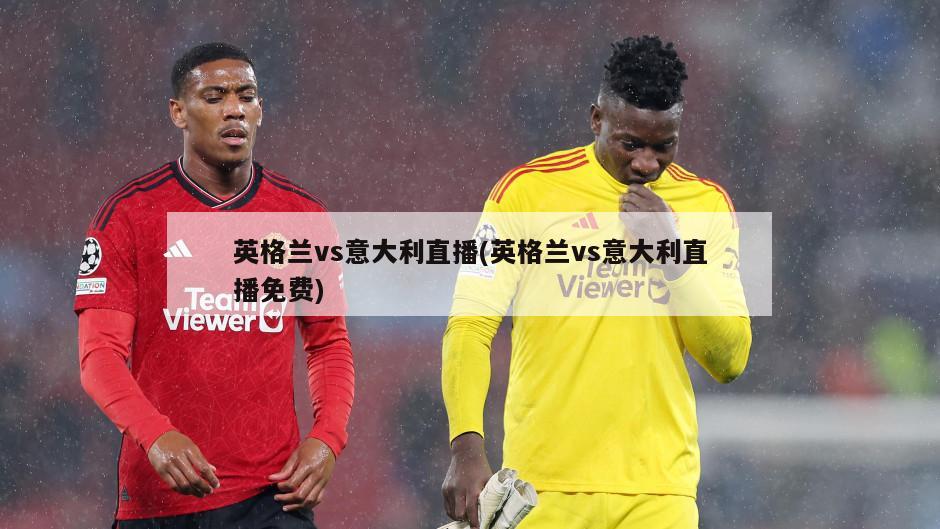 英格兰vs意大利直播(英格兰vs意大利直播免费)