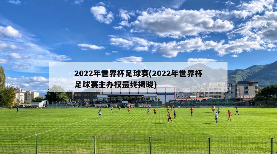 2022年世界杯足球赛(2022年世界杯足球赛主办权最终揭晓)