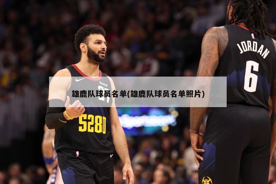 雄鹿队球员名单(雄鹿队球员名单照片)