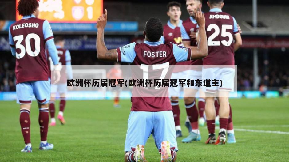 欧洲杯历届冠军(欧洲杯历届冠军和东道主)