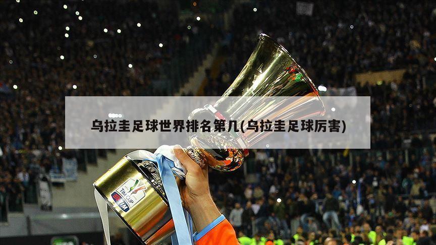 乌拉圭足球世界排名第几(乌拉圭足球厉害)
