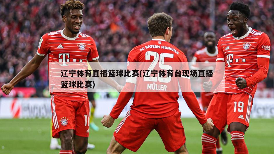 辽宁体育直播篮球比赛(辽宁体育台现场直播篮球比赛)