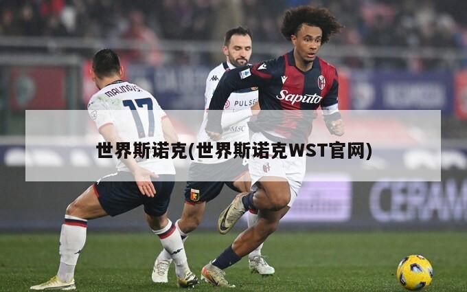世界斯诺克(世界斯诺克WST官网)